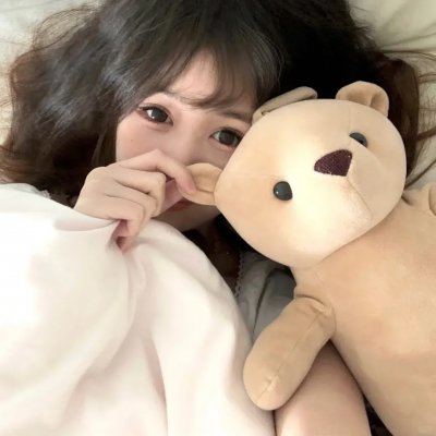 鸽之翼